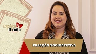 Explica Direito Filiação Socioafetiva  2019 [upl. by Annyahs]